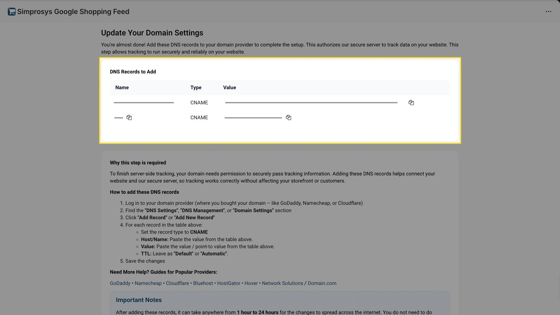 DNS Records setup table with CNAME entries and instructions for domain providers like GoDaddy and Cloudflare